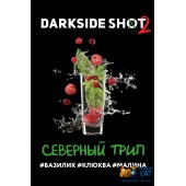 Табак Dark Side Shot Северный Трип 120г Акцизный